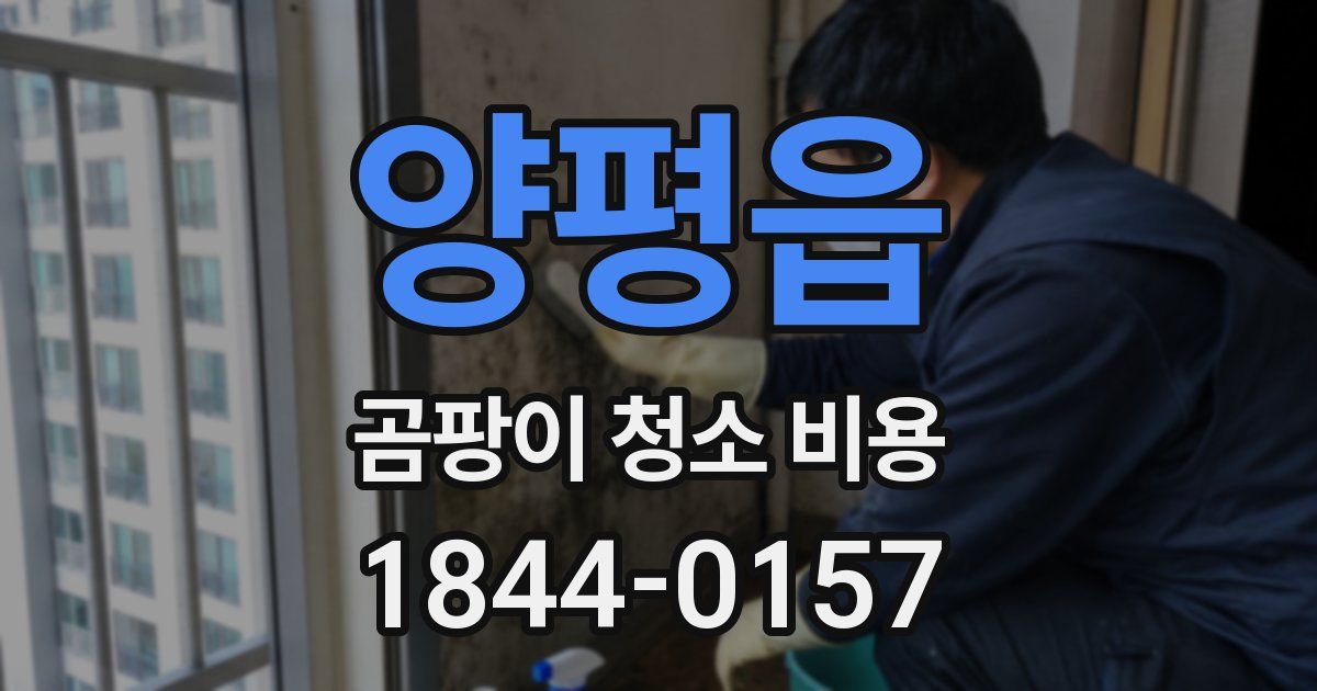 양평읍 곰팡이 청소 비용