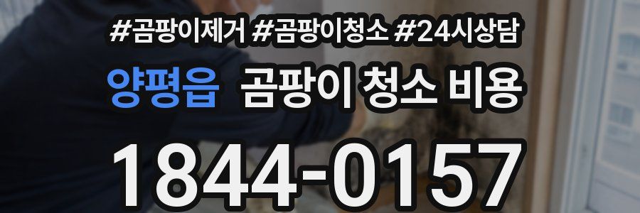 양평읍 곰팡이 청소 비용
