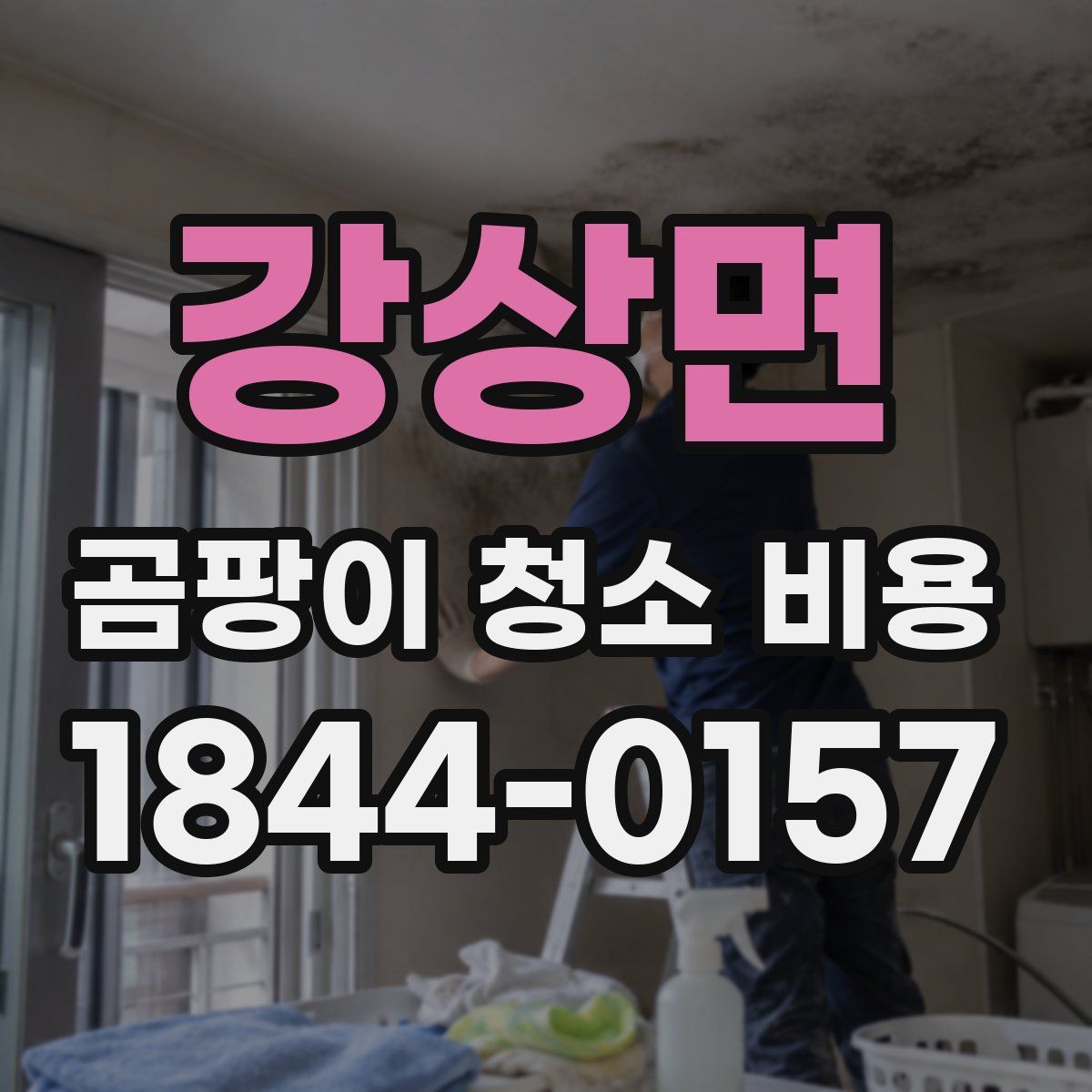 강상면 곰팡이 청소 비용