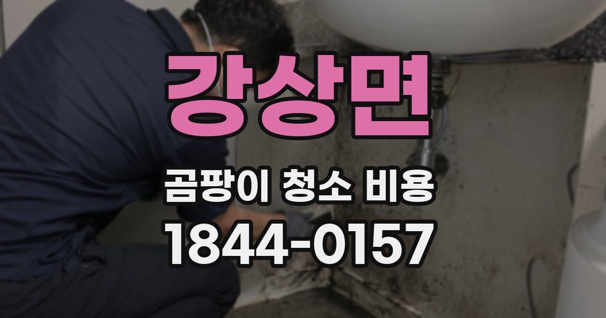 강상면 곰팡이 청소 비용