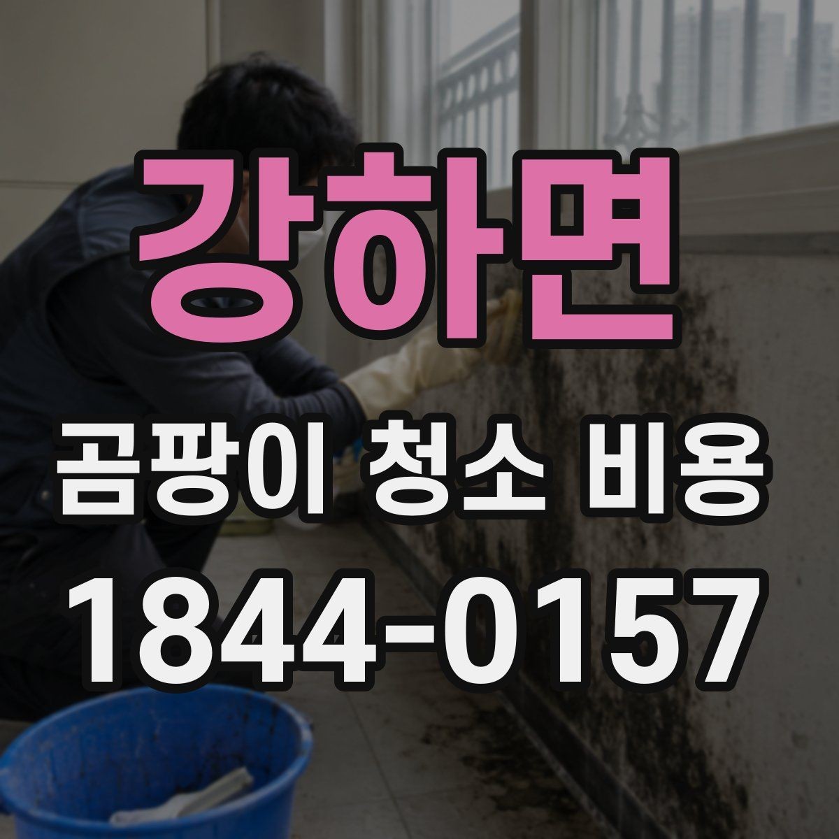 강하면 곰팡이 청소 비용 장판 아래 번짐이 의심될 때 확인할 점