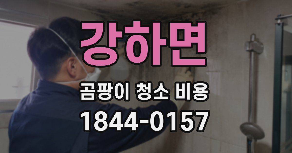 강하면 곰팡이 청소 비용