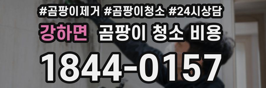 강하면 곰팡이 청소 비용