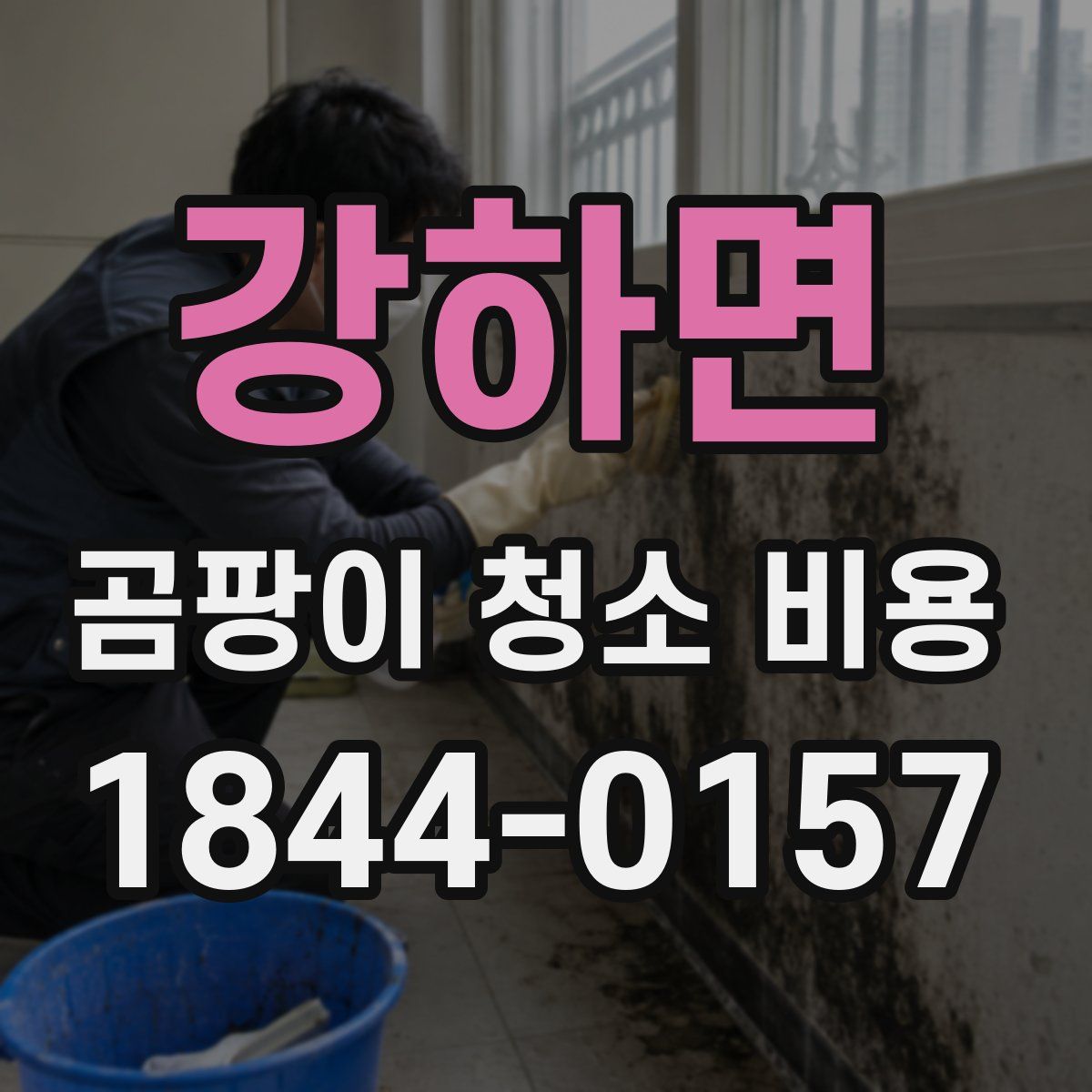 강하면 곰팡이 청소 비용