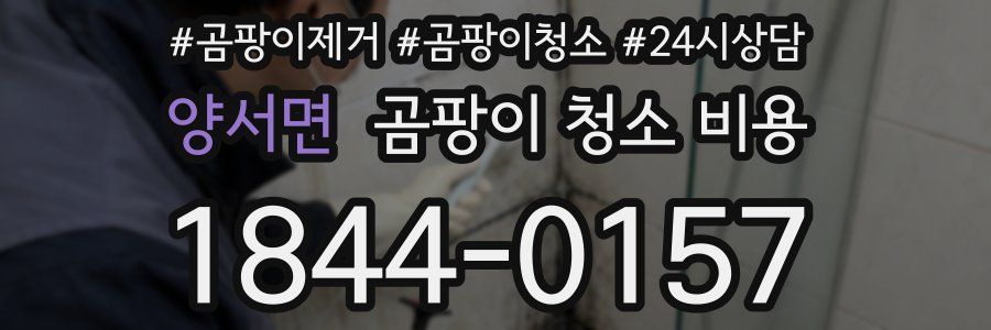 양서면 곰팡이 청소 비용