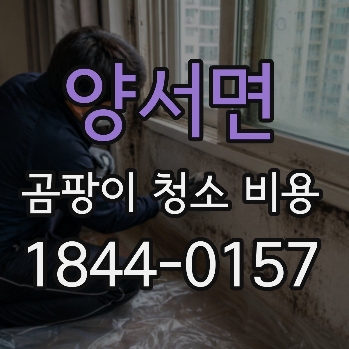 양서면 곰팡이 청소 비용