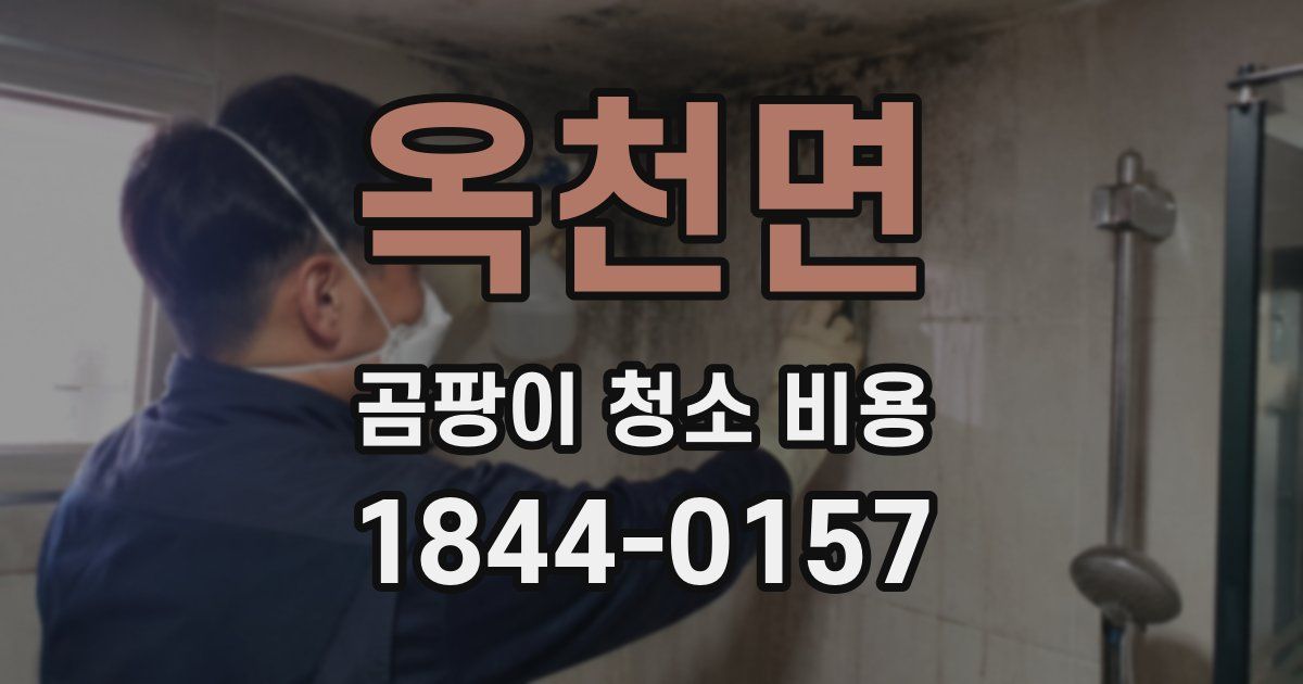 옥천면 곰팡이 청소 비용