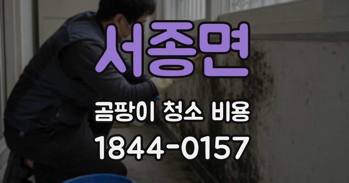 서종면 곰팡이 청소 비용