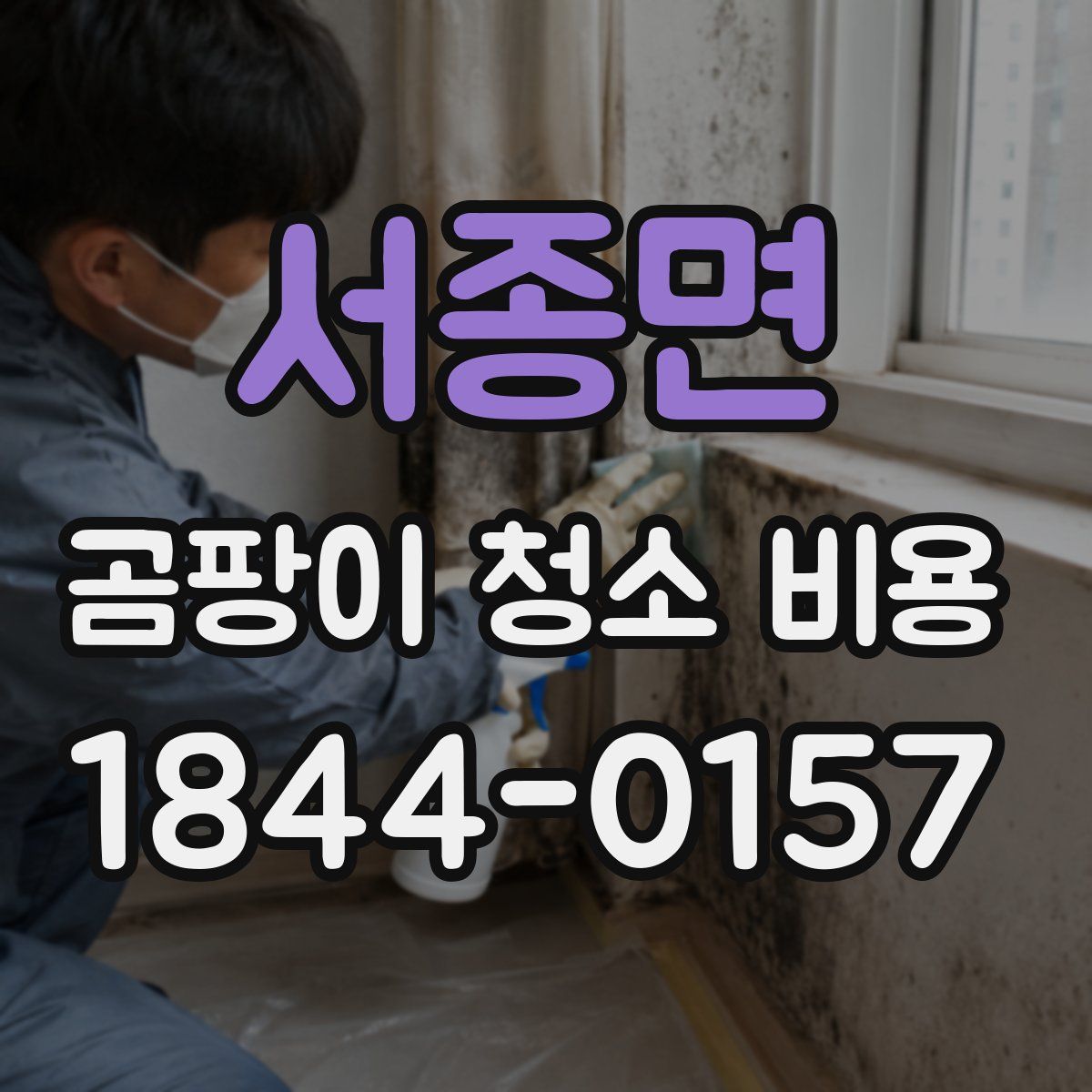 서종면 곰팡이 청소 비용