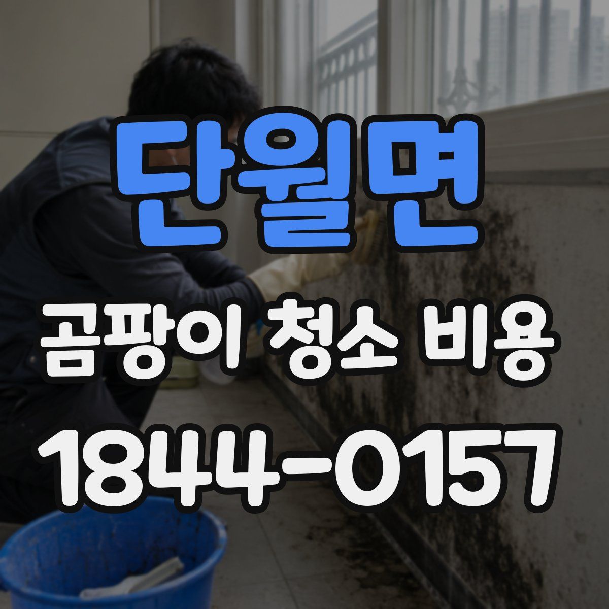 단월면 곰팡이 청소 비용