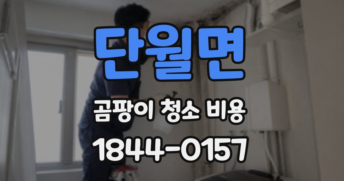 단월면 곰팡이 청소 비용