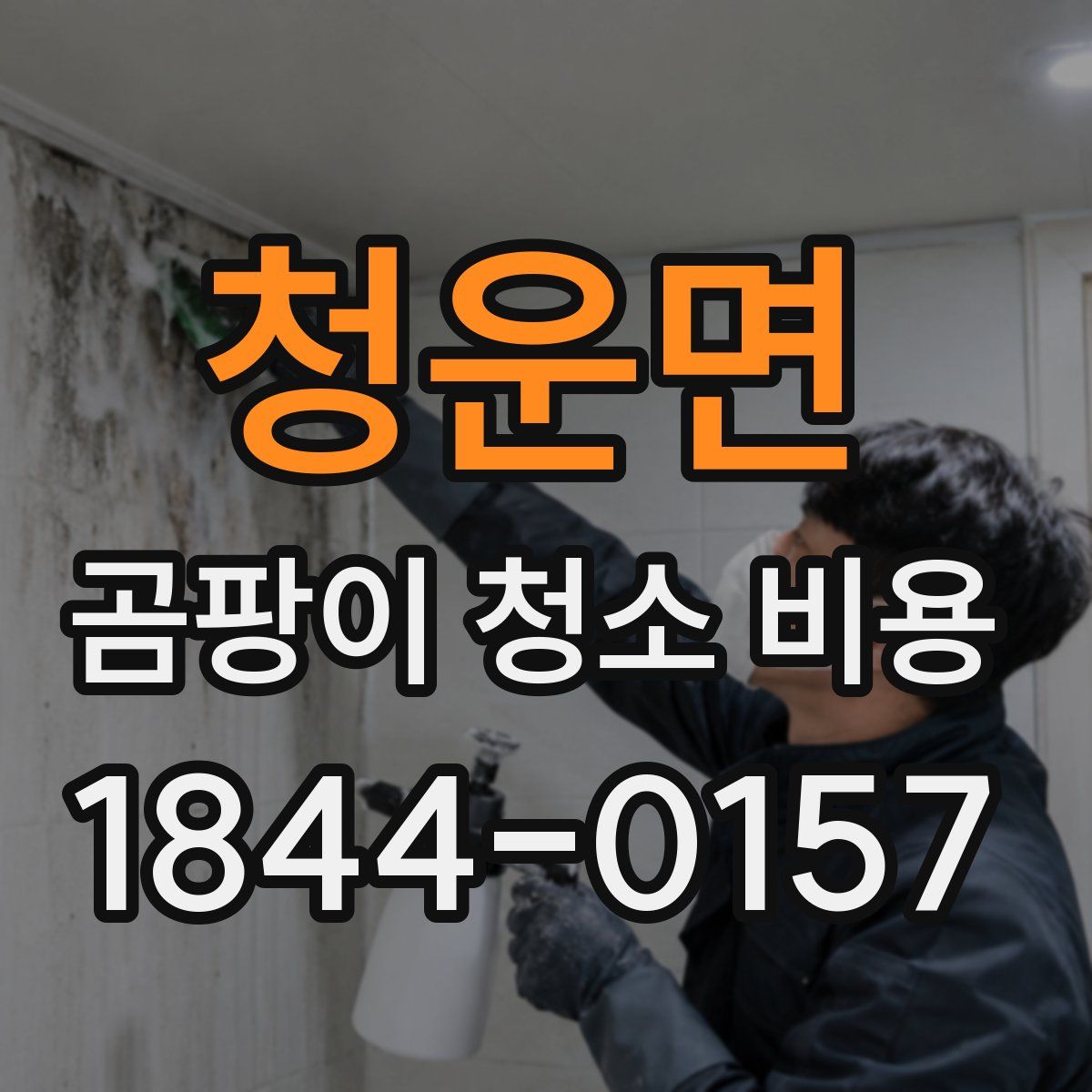 청운면 곰팡이 청소 비용