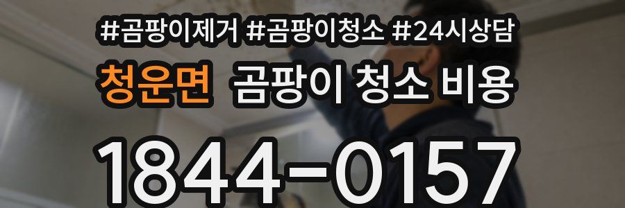 청운면 곰팡이 청소 비용