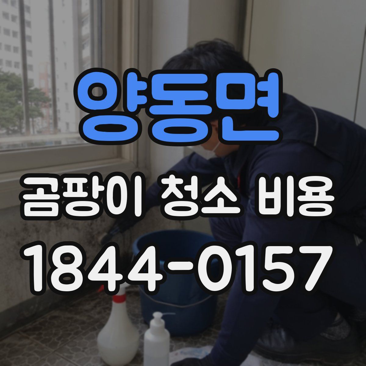 양동면 곰팡이 청소 비용