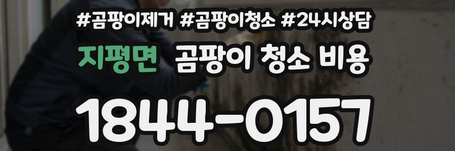 지평면 곰팡이 청소 비용