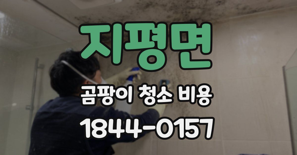 지평면 곰팡이 청소 비용