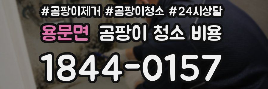 용문면 곰팡이 청소 비용
