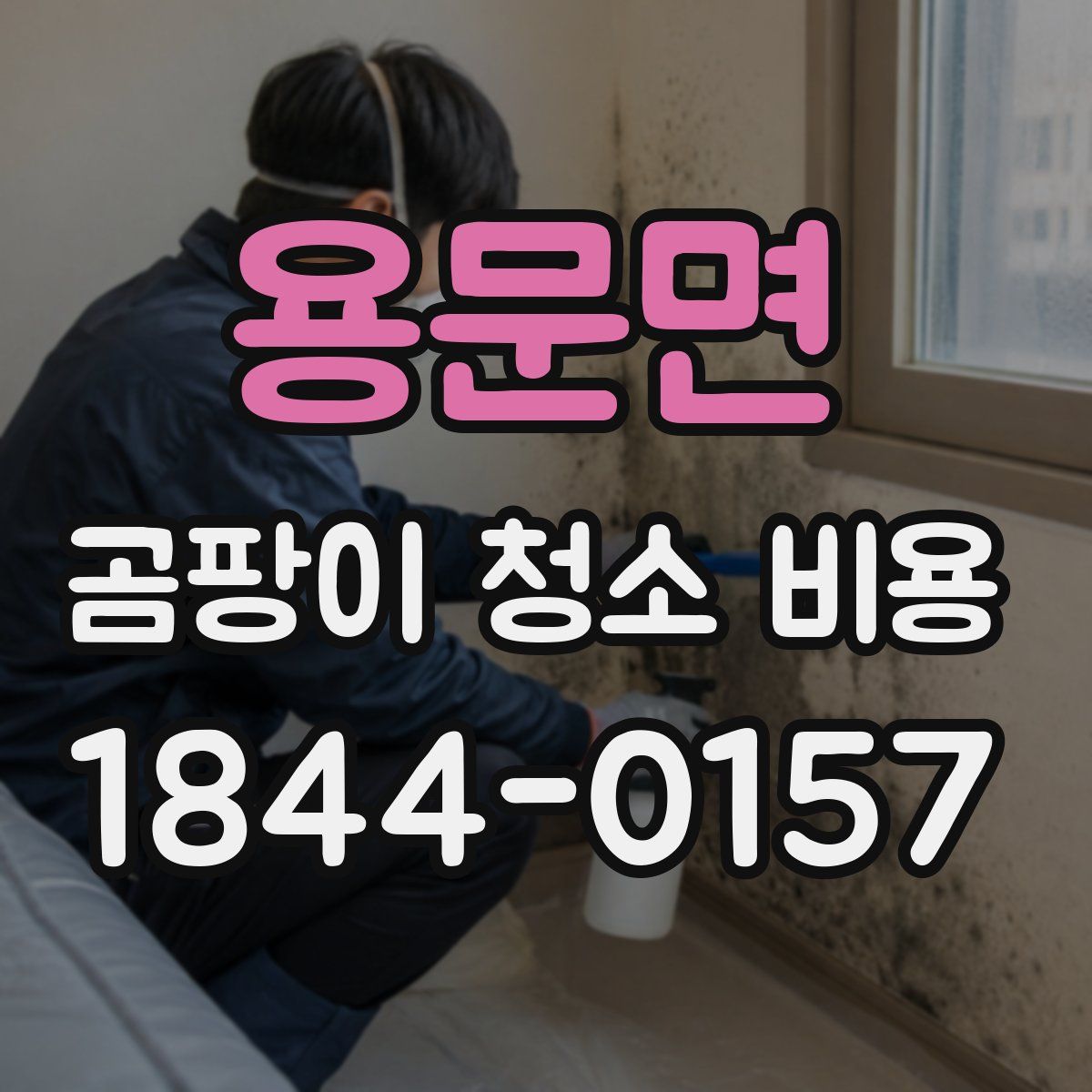 용문면 곰팡이 청소 비용