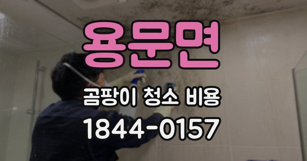 용문면 곰팡이 청소 비용