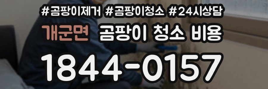 개군면 곰팡이 청소 비용