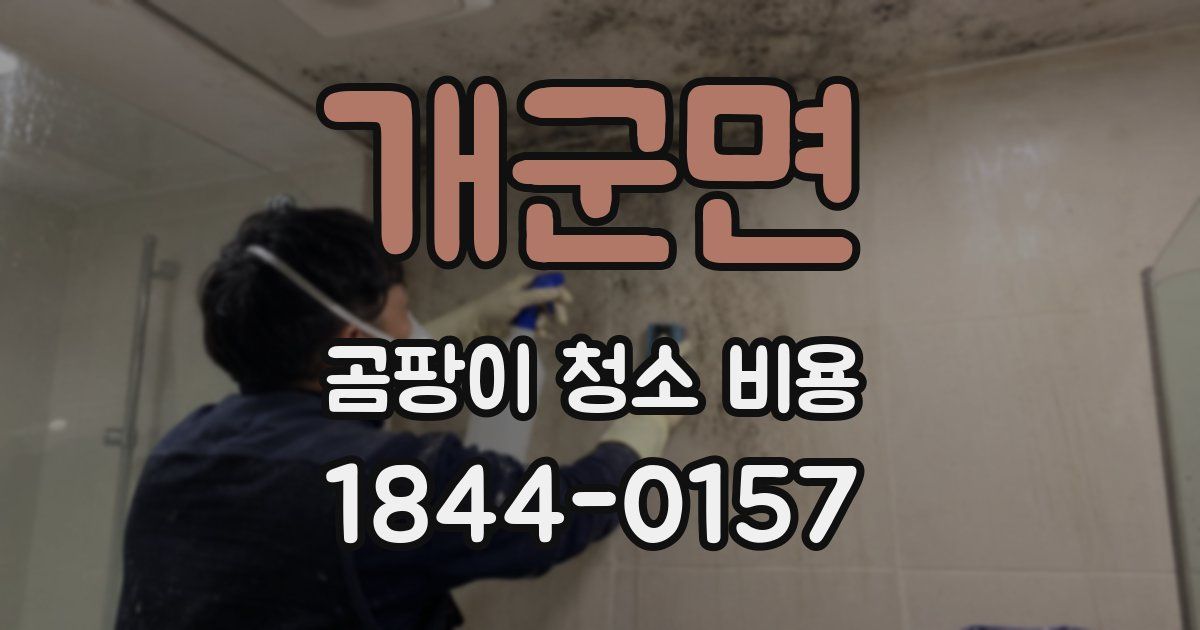개군면 곰팡이 청소 비용
