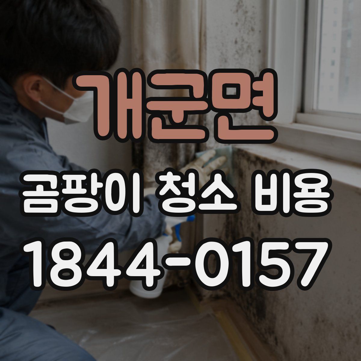 개군면 곰팡이 청소 비용