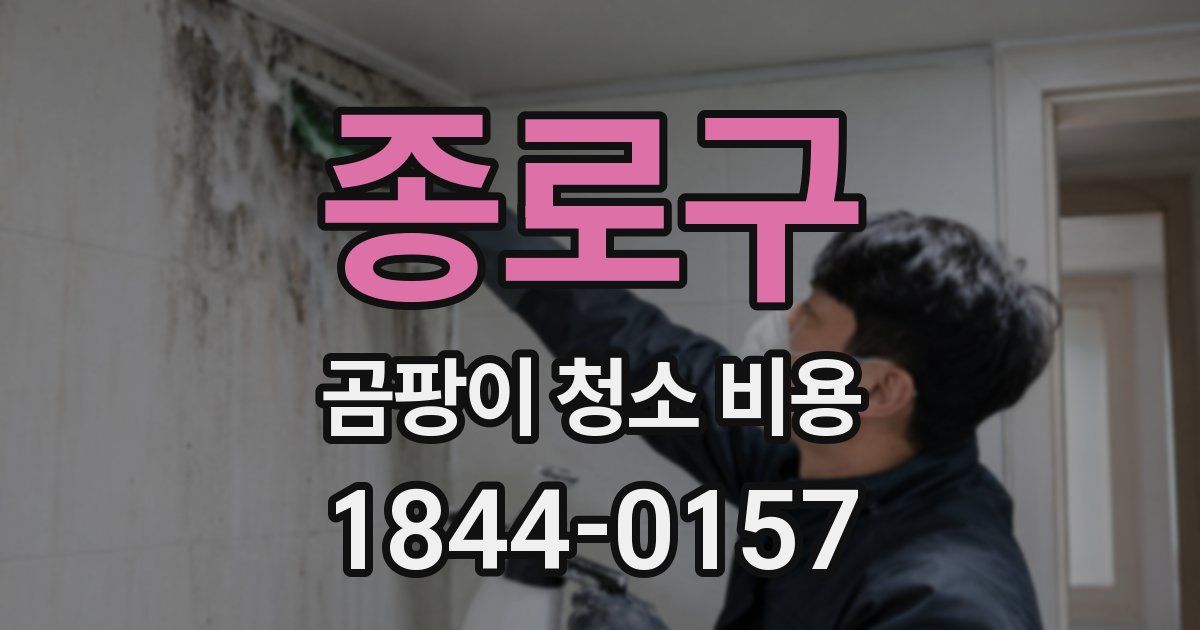 종로구 곰팡이 청소 비용