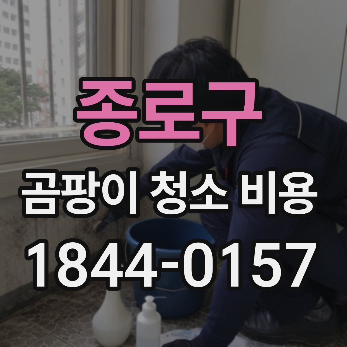 종로구 곰팡이 청소 비용