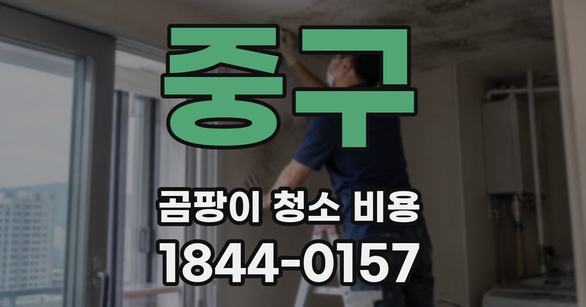 중구 곰팡이 청소 비용
