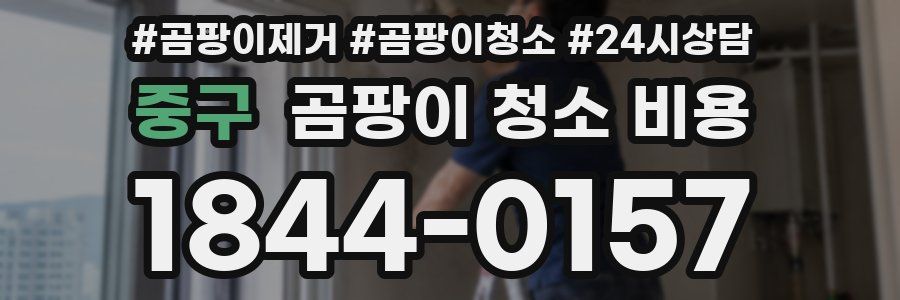 중구 곰팡이 청소 비용