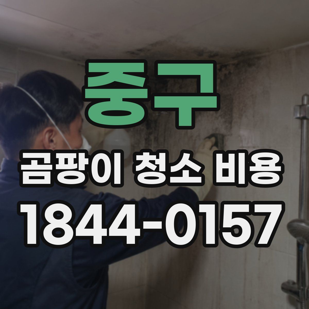 중구 곰팡이 청소 비용