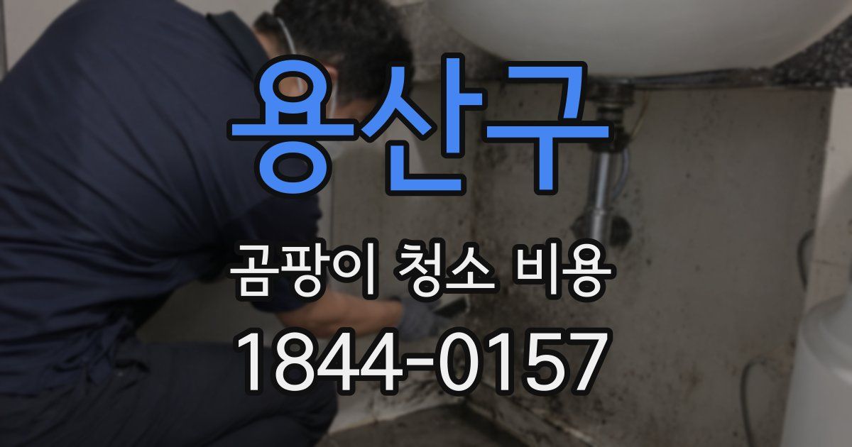 용산구 곰팡이 청소 비용