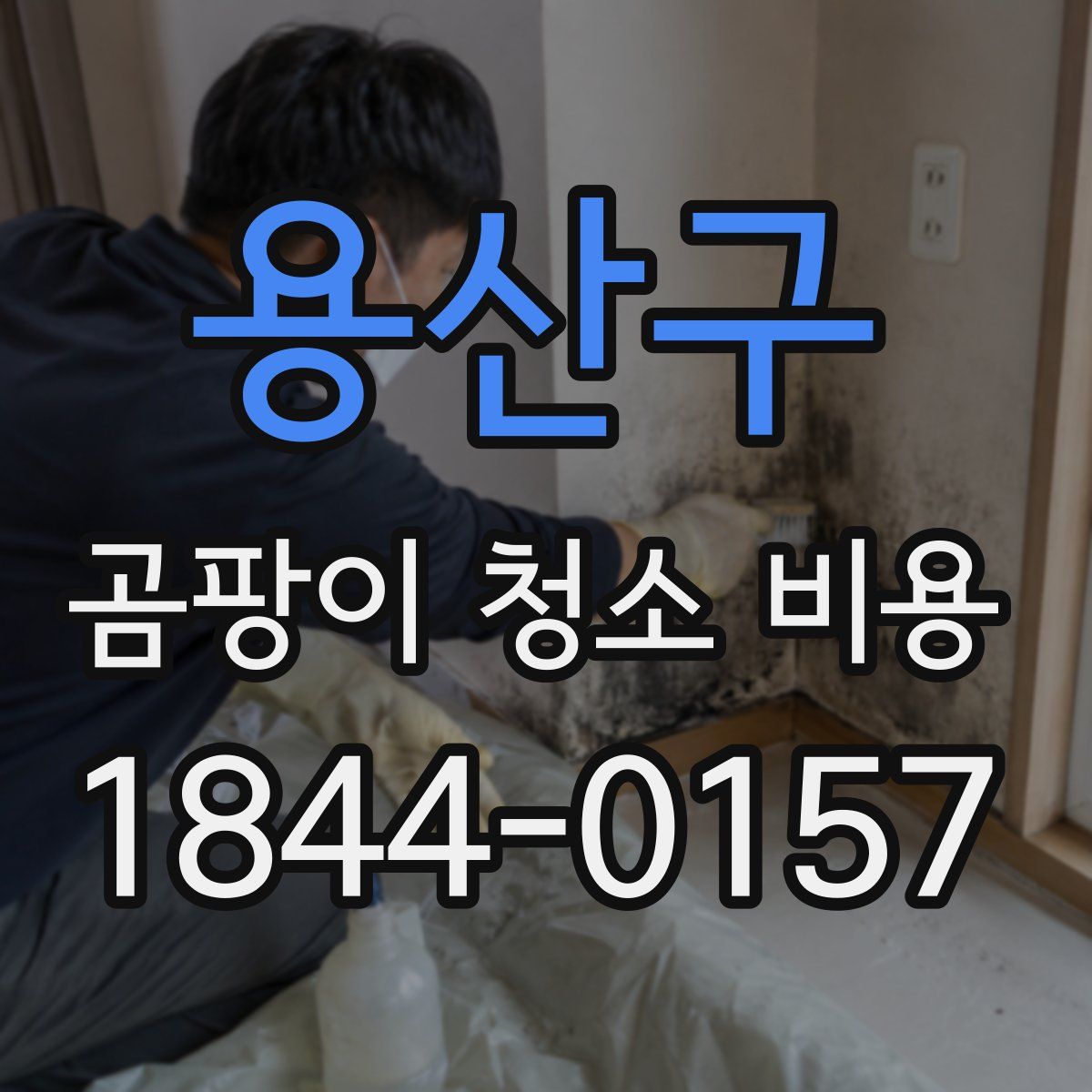 용산구 곰팡이 청소 비용