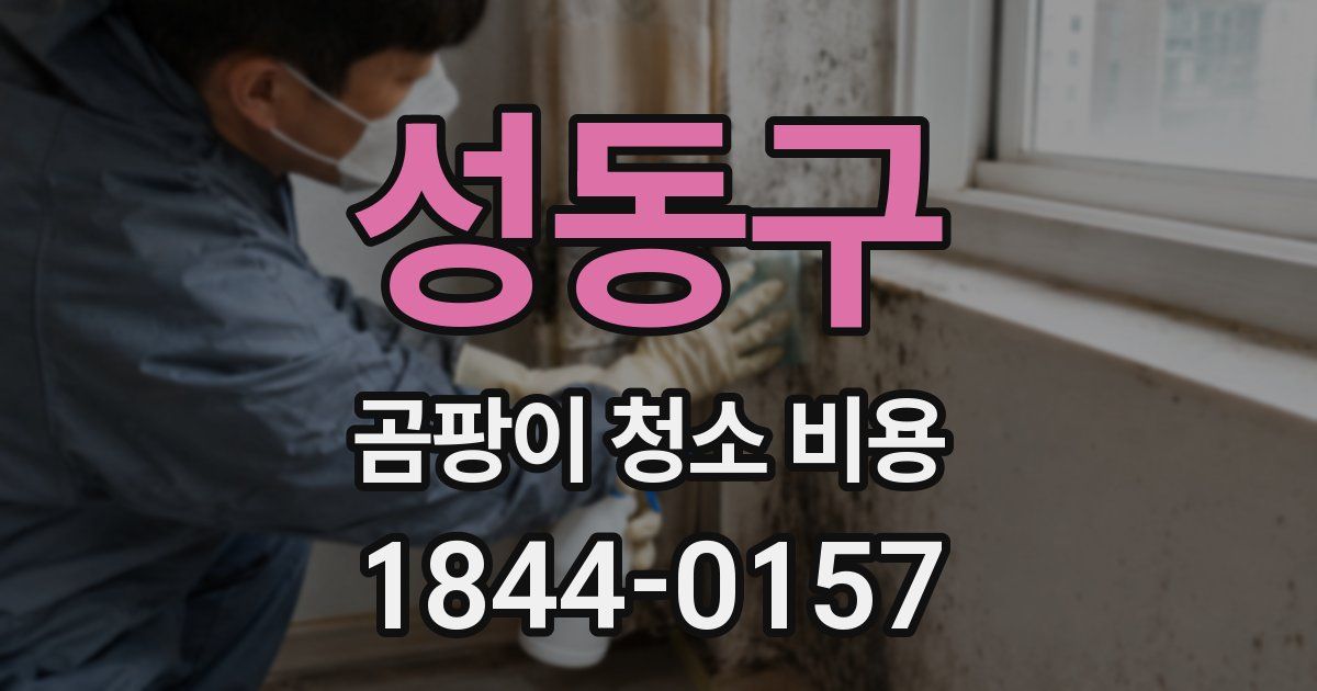 성동구 곰팡이 청소 비용