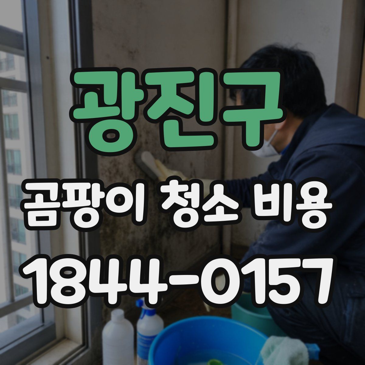 광진구 곰팡이 청소 비용