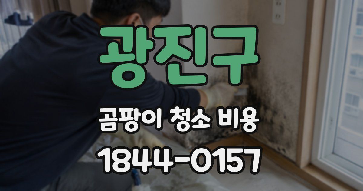 광진구 곰팡이 청소 비용
