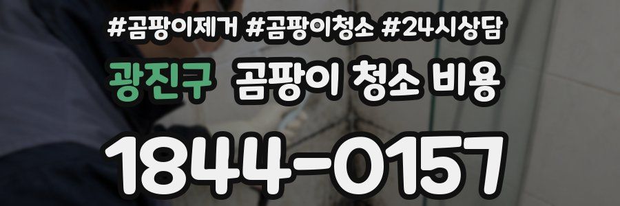 광진구 곰팡이 청소 비용