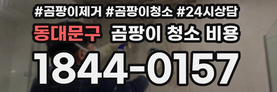 동대문구 곰팡이 청소 비용