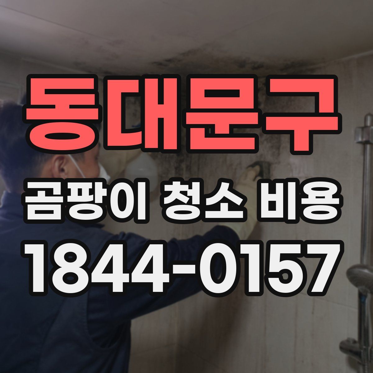 동대문구 곰팡이 청소 비용