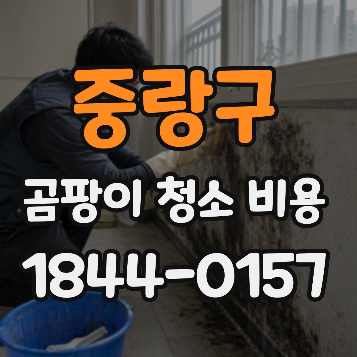 중랑구 곰팡이 청소 비용 화장실 실리콘 곰팡이 제거 뒤 관리가 중요한 이유