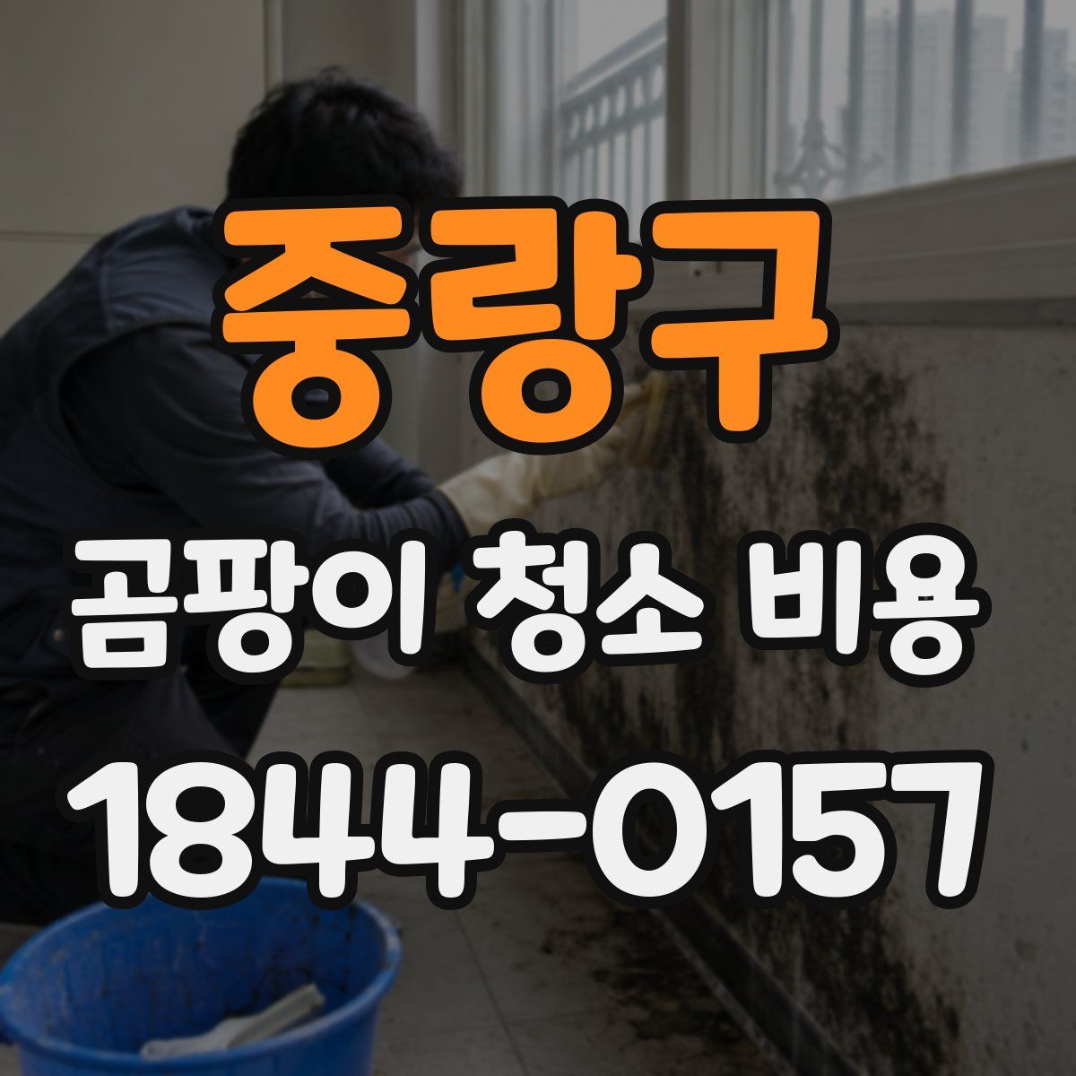 중랑구 곰팡이 청소 비용