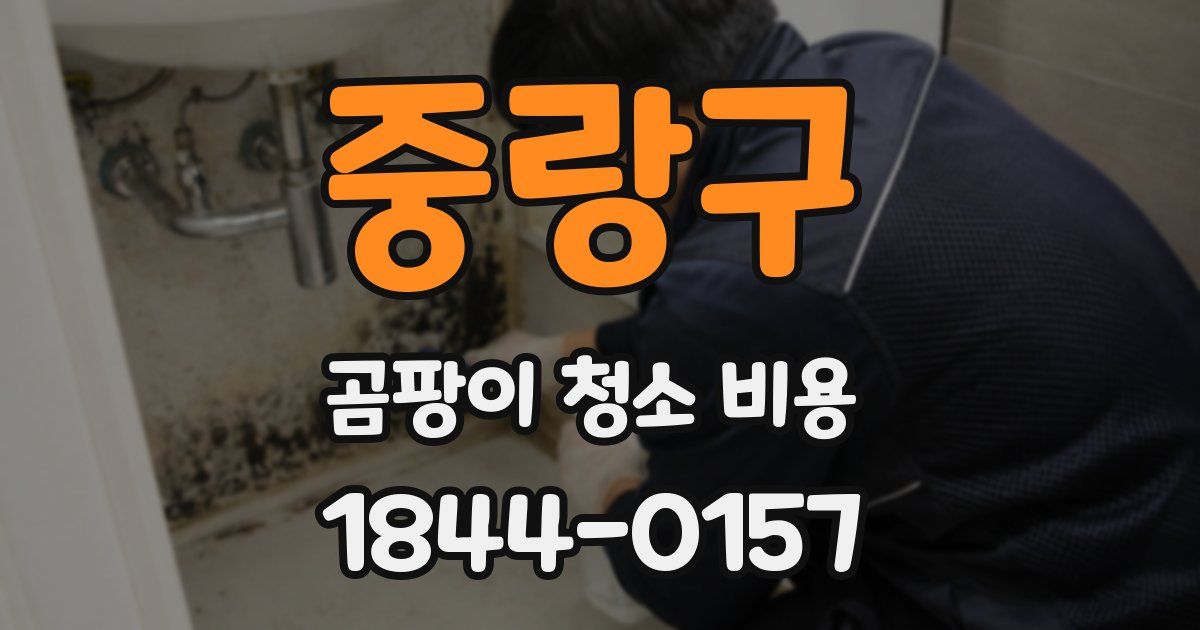 중랑구 곰팡이 청소 비용