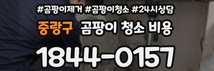 중랑구 곰팡이 청소 비용