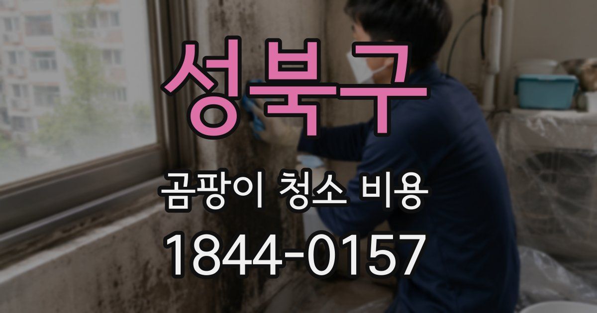 성북구 곰팡이 청소 비용