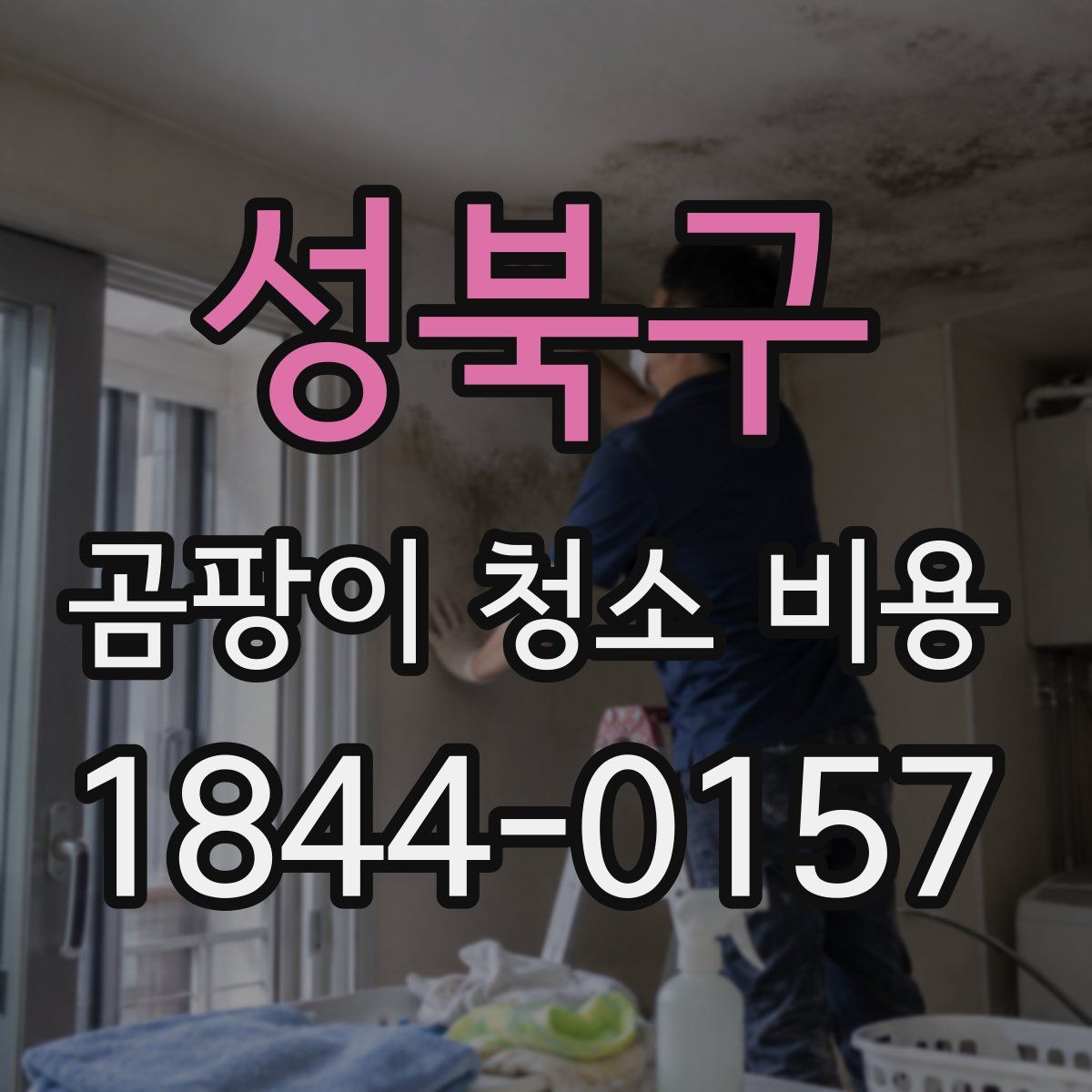 성북구 곰팡이 청소 비용
