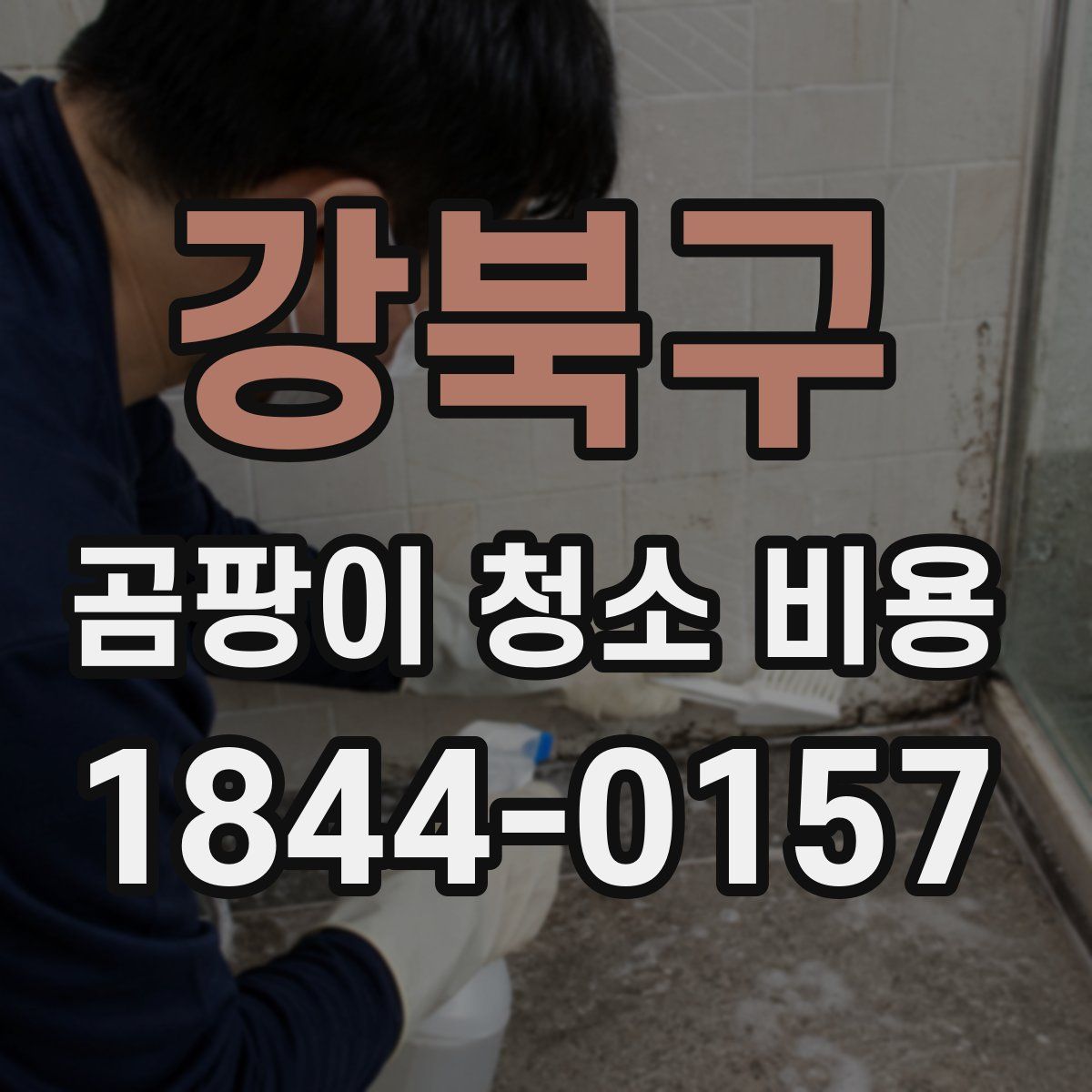 강북구 곰팡이 청소 비용