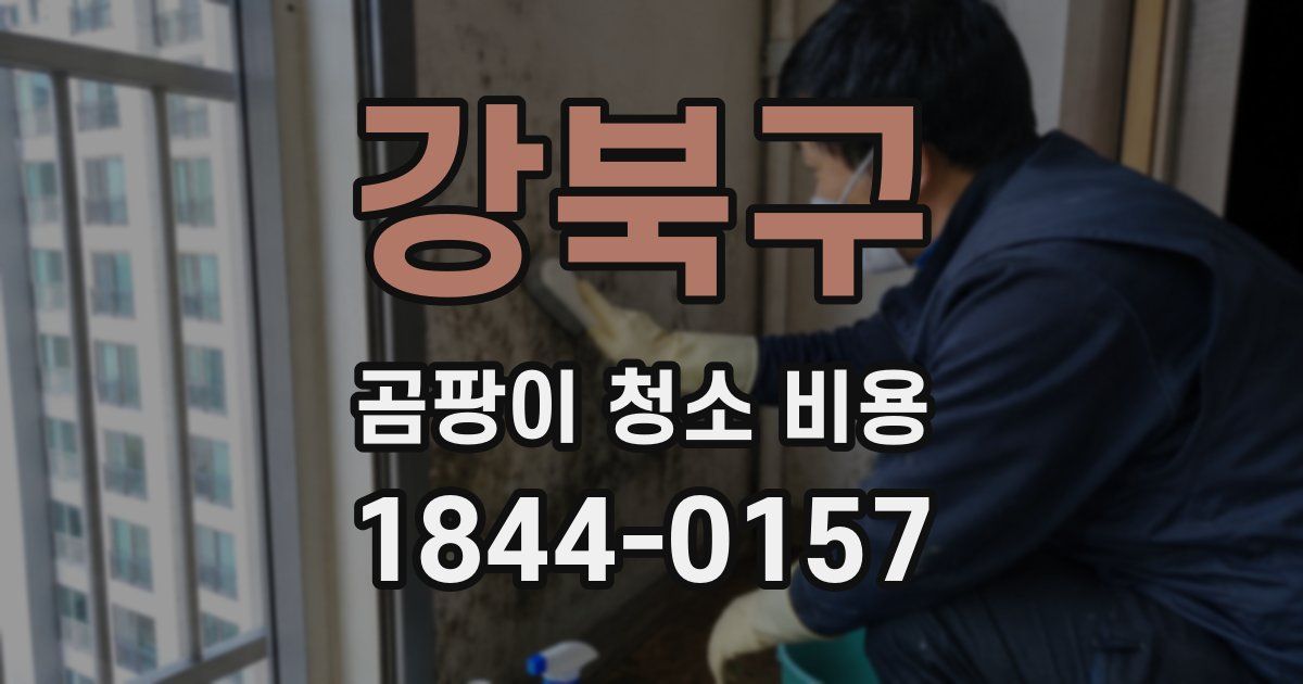 강북구 곰팡이 청소 비용