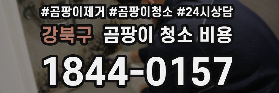 강북구 곰팡이 청소 비용