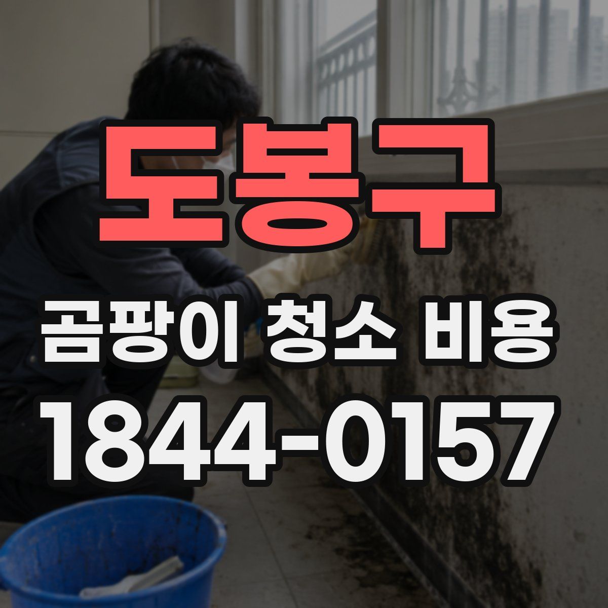 도봉구 곰팡이 청소 비용