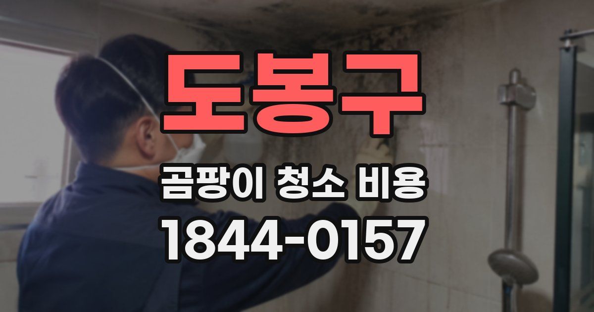 도봉구 곰팡이 청소 비용